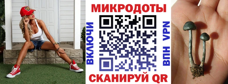 Псилоцибиновые грибы мухоморы  где купить наркотик  Таганрог 