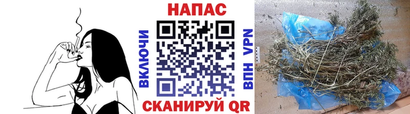 Бошки марихуана гибрид маркетплейс клад Таганрог сколько стоит